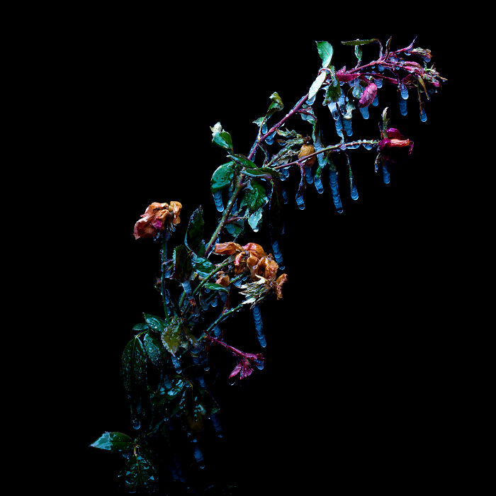 Let’s Time-Travel with 3D Photos From 1832!