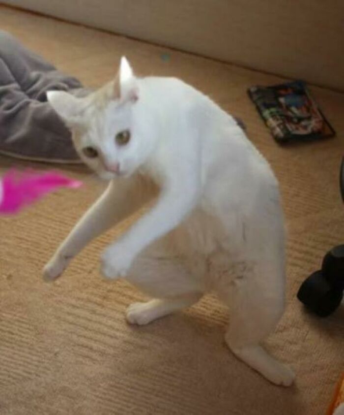 Creature Spotted At The Mouth Of A Deep, Dark Cave