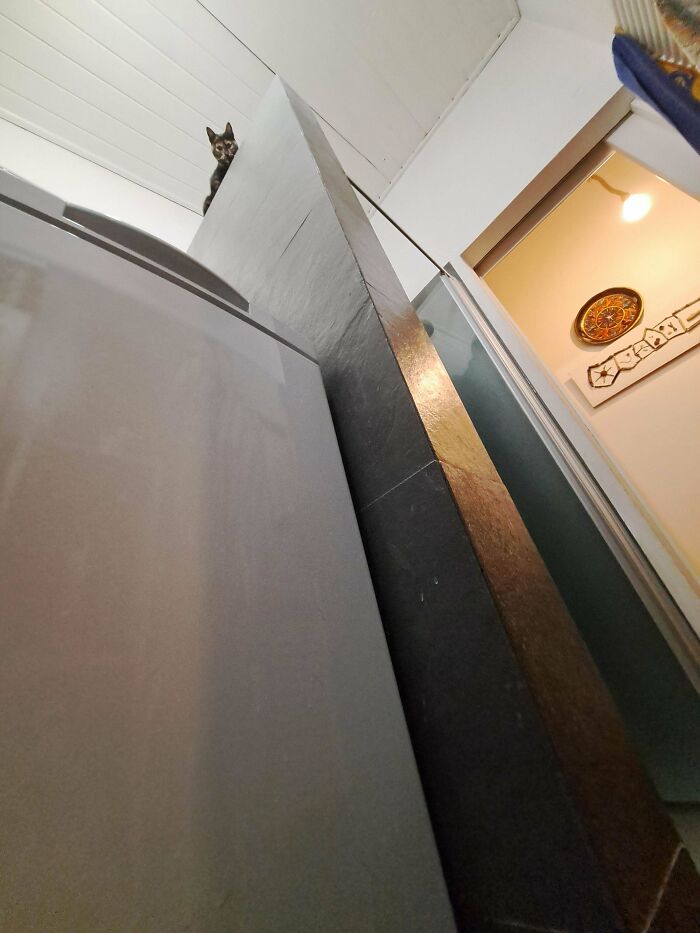 She’s Watching. Always.