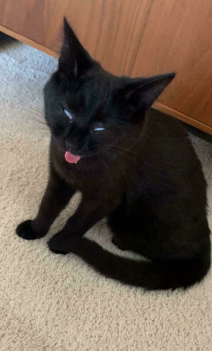 How Did She Pull That Off?!