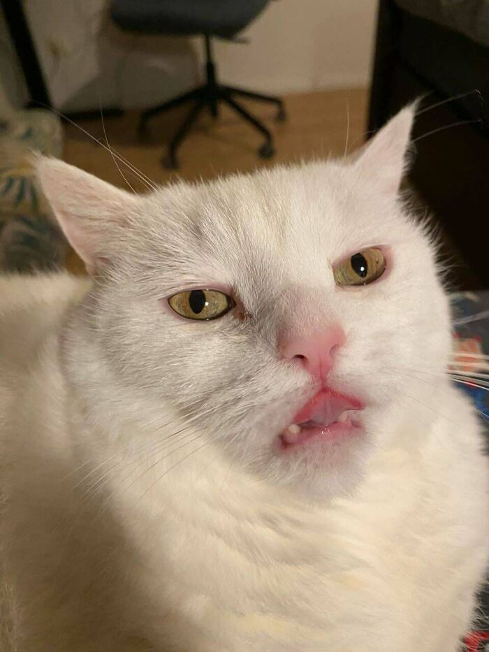 Saw This Beauty and Just Had to Share