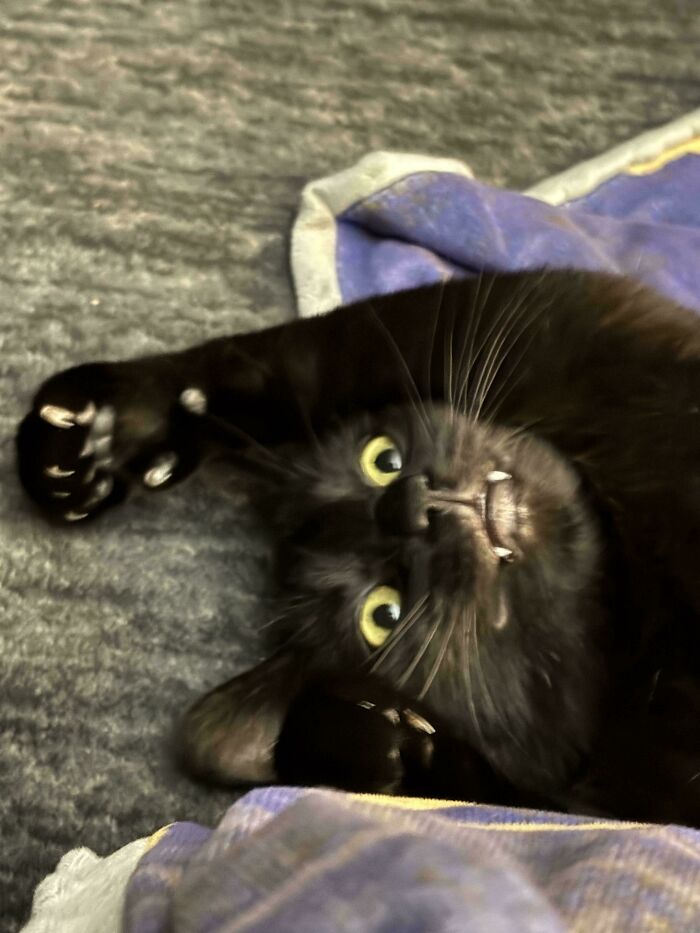 Why Does She Look Like That? The Eternal Question