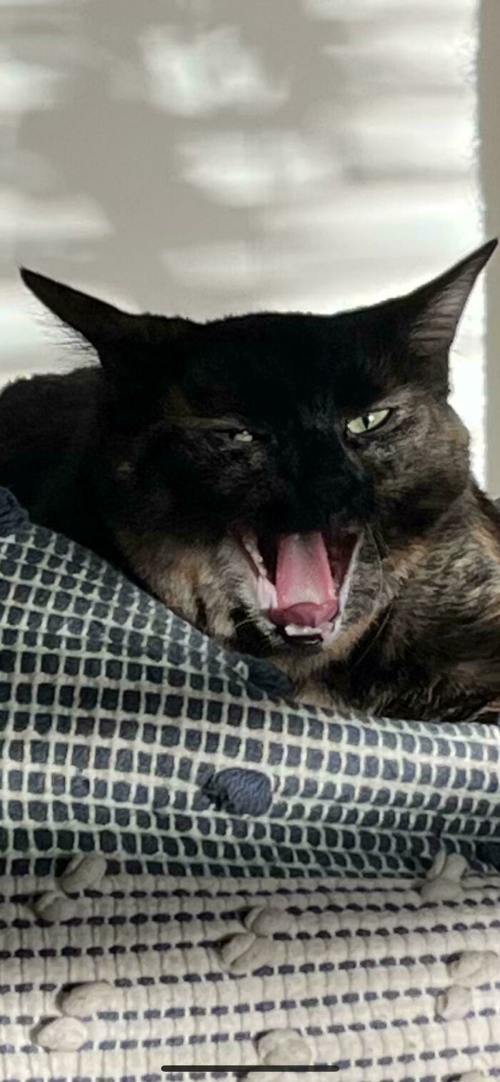 Has Anyone Seen One Of These Before? Asking For A Friend.