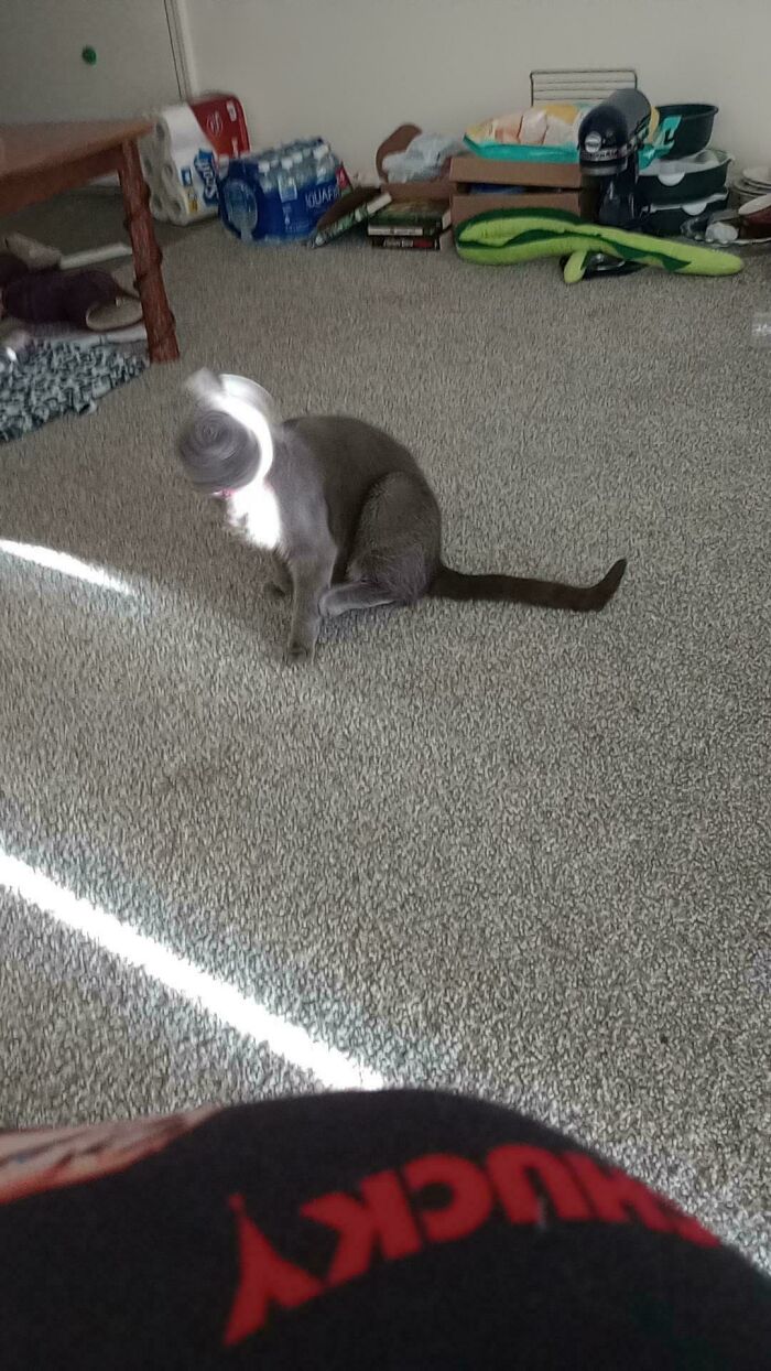 Almost Called A Priest After Seeing This One