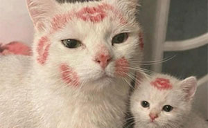 Wait, Animals Did WHAT? 40 Pics That Totally Made Our Day
