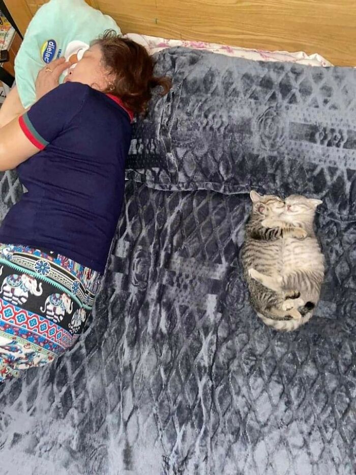 Wait, Animals Did WHAT? 40 Pics That Totally Made Our Day