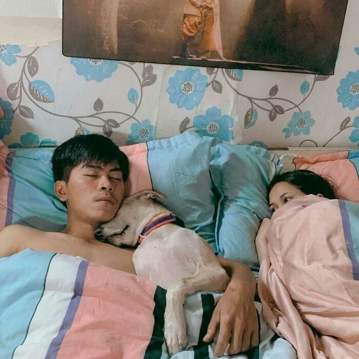 Wait, Animals Did WHAT? 40 Pics That Totally Made Our Day