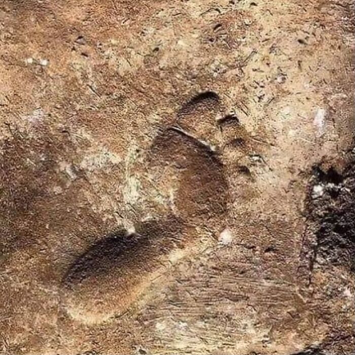 Ancient 4,000-Year-Old Mud Brick Footprint Freeze Frame