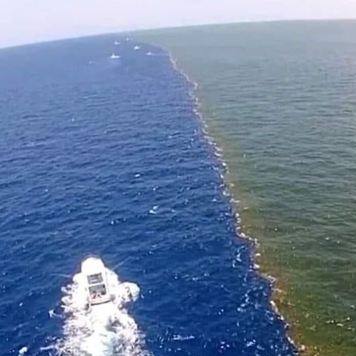 When Two Oceans Meet but Refuse to Mix: Pacific + Atlantic