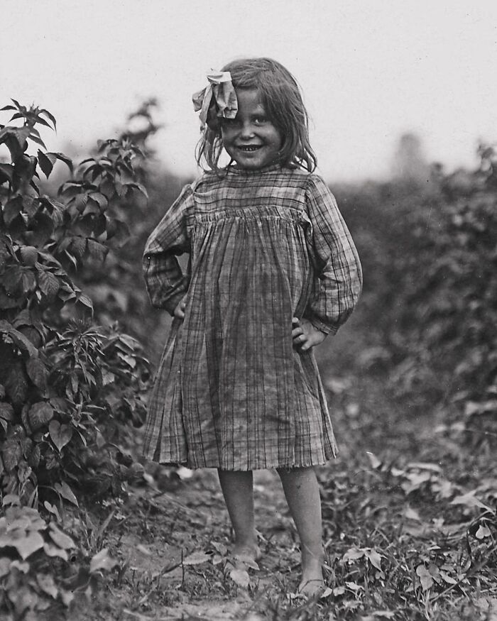 Young Berry Picker Laura Petty, Maryland 1909