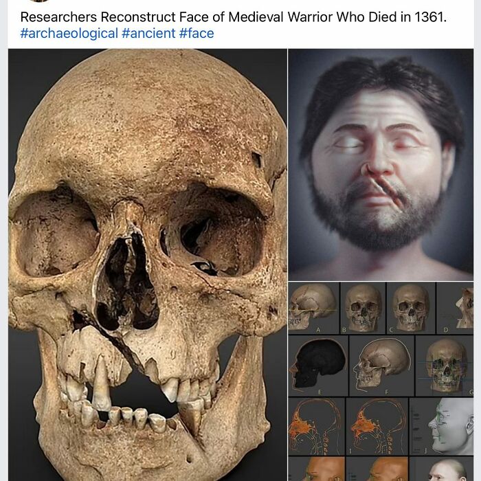 Oook! Check Out This Medieval Warrior’s Skull