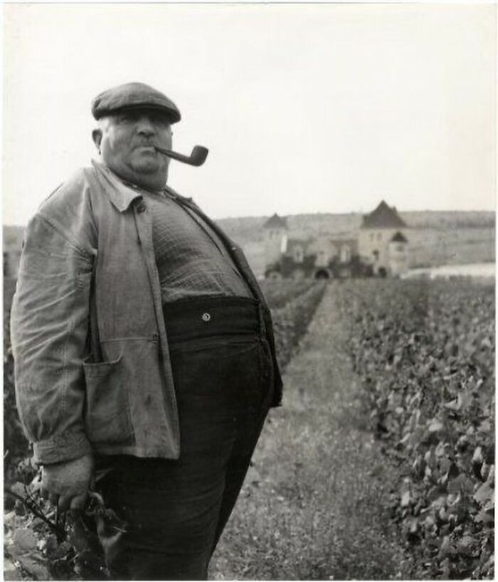 Central France Farmer Checking Out His Land, Circa 1961