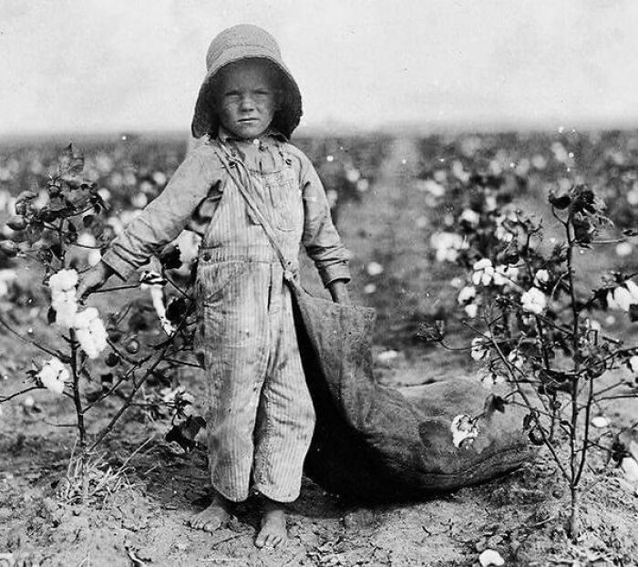 Little Harold Picks Way Too Much Cotton at 5 Years Old