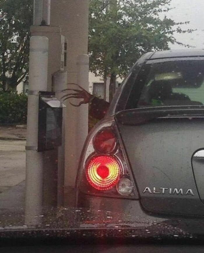 Wait, They Actually Made These Cringe Pics? Brace Yourself!