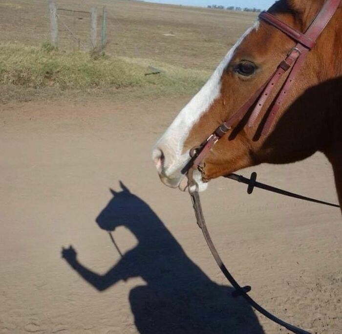 Wait, They Actually Made These Cringe Pics? Brace Yourself!