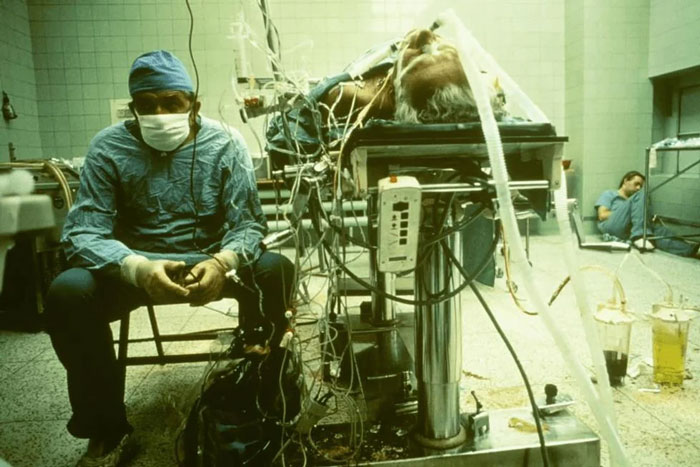 Poland’s First Heart Transplant Snap