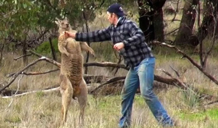 Australia’s Snapshot