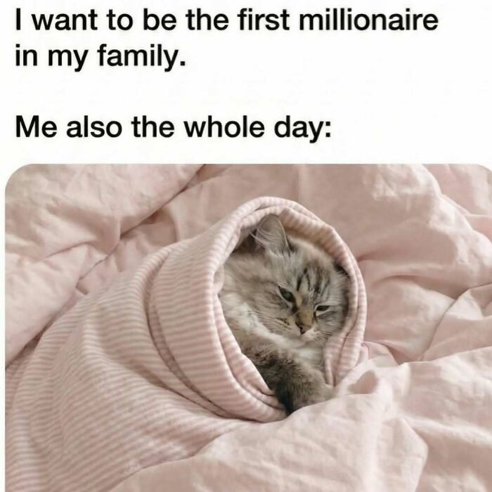 97 Memes That Will Totally Make Your Day (No Joke!)