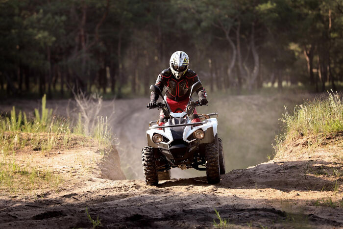 When You Run Into Your Old High School Bully as a Grown-Up—And Things Get Wild