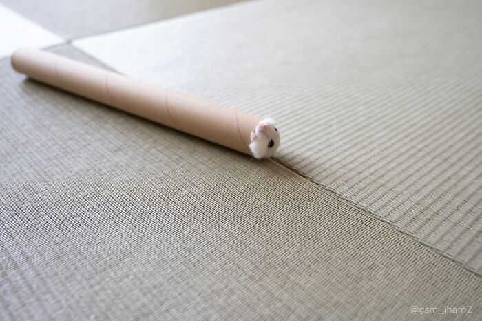 Meet The Cutest Hamsters on Instagram That Will Totally Melt Your Heart