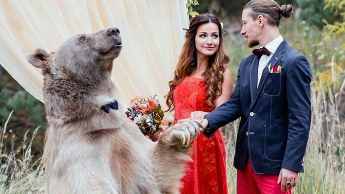 Wedding in the Wild