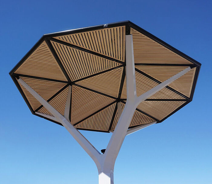 Ecacia: Tree-Like Solar Shade
