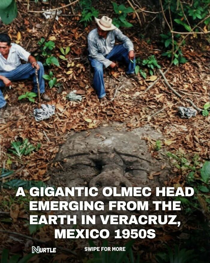 Let's Dive Into 94 Mind-Blowing Facts You Didn't Know You Needed