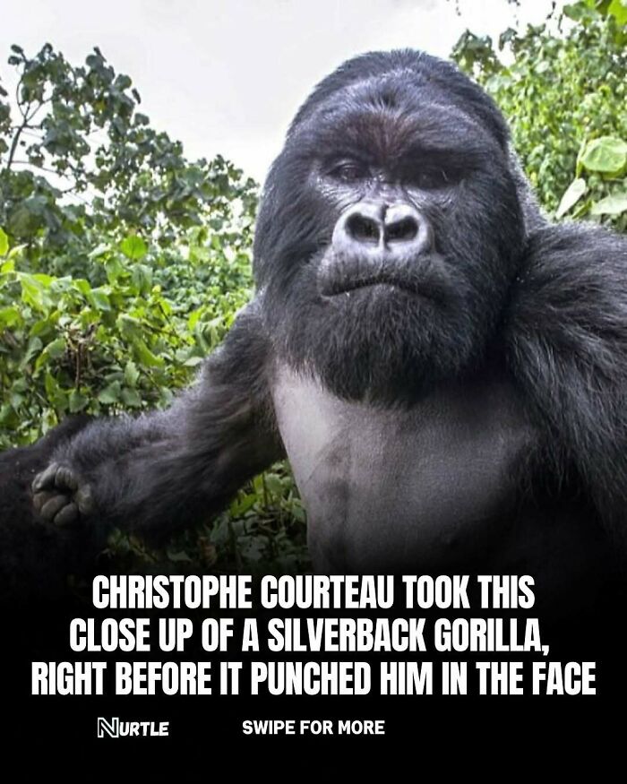 Let's Dive Into 94 Mind-Blowing Facts You Didn't Know You Needed