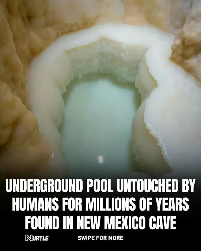 Let's Dive Into 94 Mind-Blowing Facts You Didn't Know You Needed