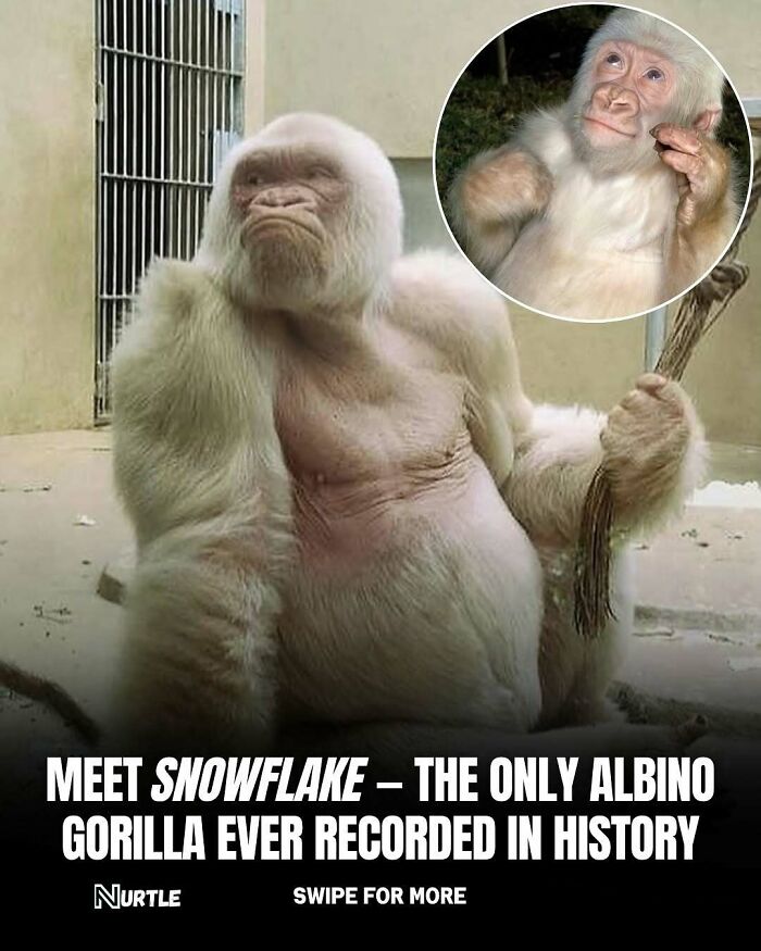 Let's Dive Into 94 Mind-Blowing Facts You Didn't Know You Needed