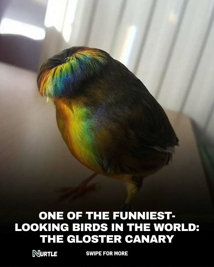 Let's Dive Into 94 Mind-Blowing Facts You Didn't Know You Needed