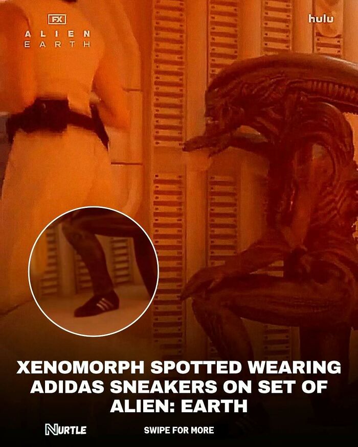 Let's Dive Into 94 Mind-Blowing Facts You Didn't Know You Needed