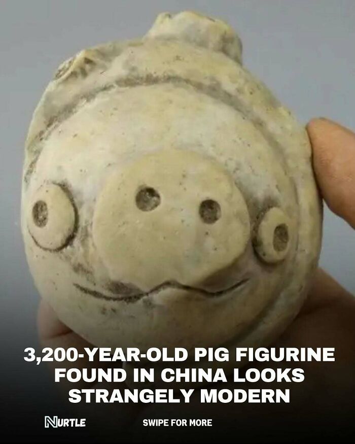 Let's Dive Into 94 Mind-Blowing Facts You Didn't Know You Needed