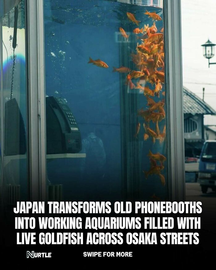 Let's Dive Into 94 Mind-Blowing Facts You Didn't Know You Needed