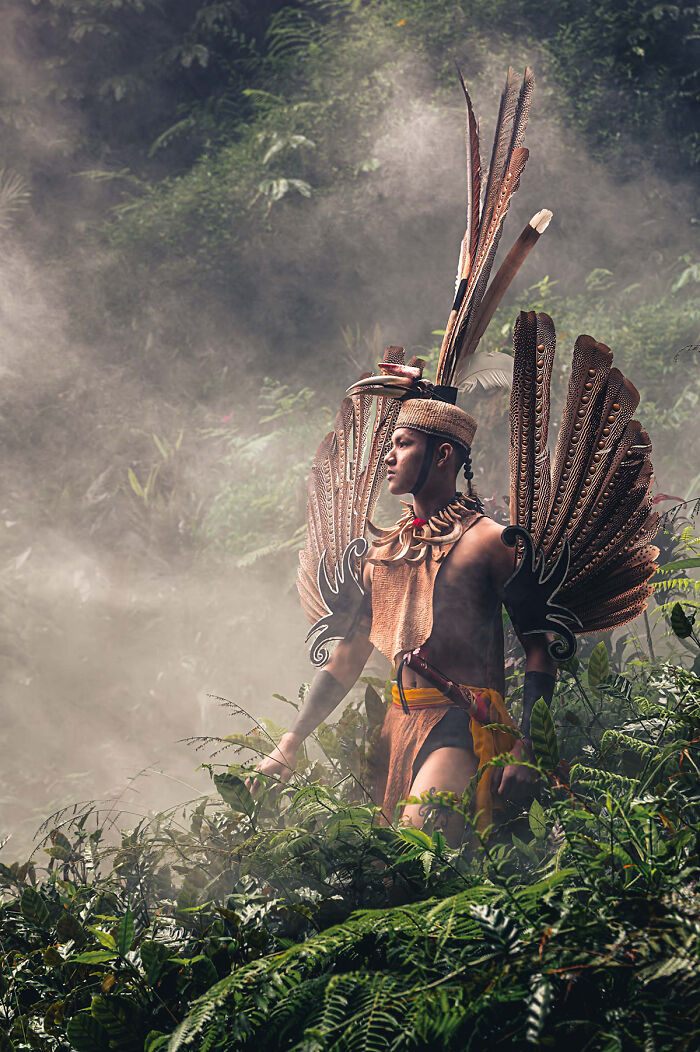 Forest Guardians Doing Their Thing by Thibault Gerbaldi