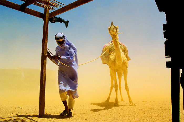 I Need Shelter! From 'Going Bedouin' by Laura Jean Zito