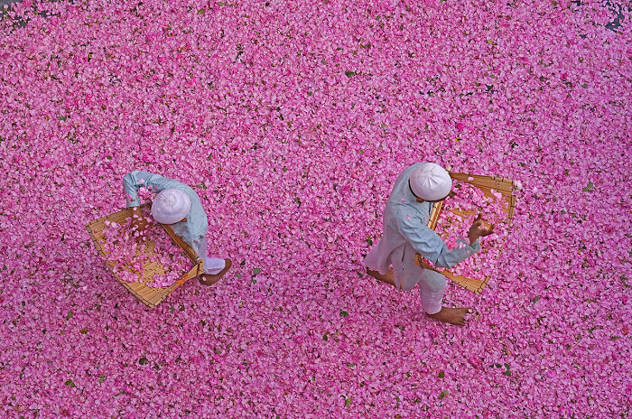 Splash of Color from 'Aroma Story' by Somenath Mukhopadhyay