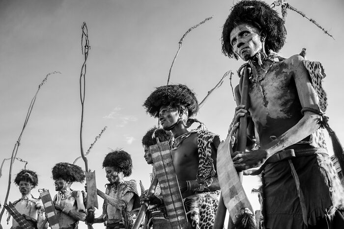 The New Elders by Costanza Rossi