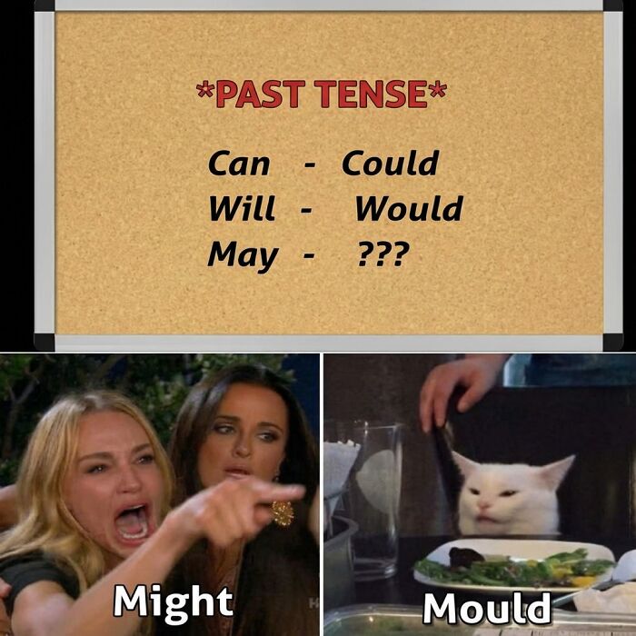 Get Ready to Laugh: 51 Memes That’ll Totally Brighten Your Day