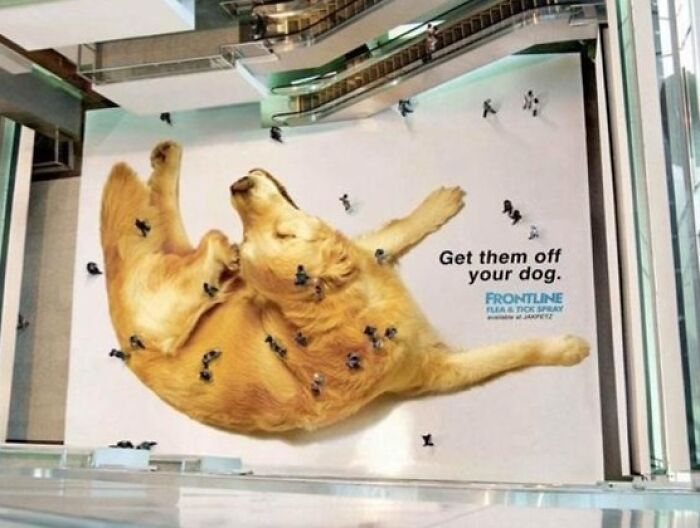 "Get Them Off Your Dog" Is Not Just A Command, It’s Comedy Gold