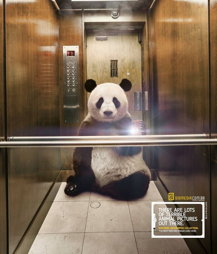 National Geographic Gets Wild with Humor