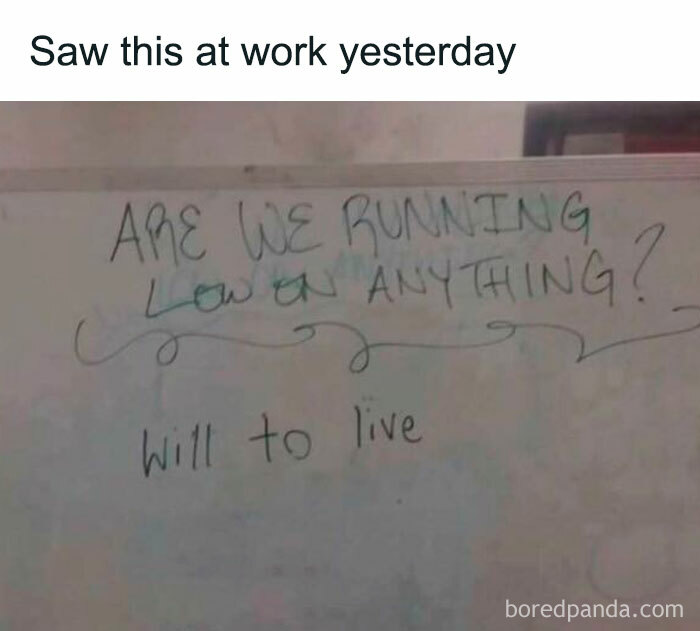Let's Rank These Work Memes That Perfectly Nail Your Job Struggles