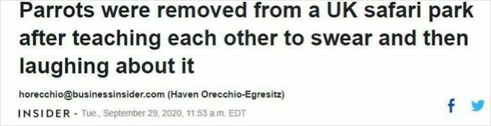 That Headline Though