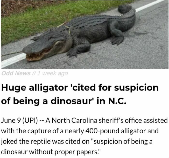 Let’s Just Call Him an Illegal Dinosaur
