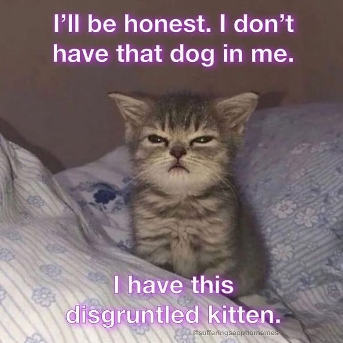 79 Therapy Memes That Get You Like No One Else