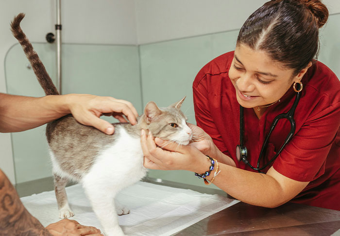 The Wildest Job Secrets People Just Had to Spill