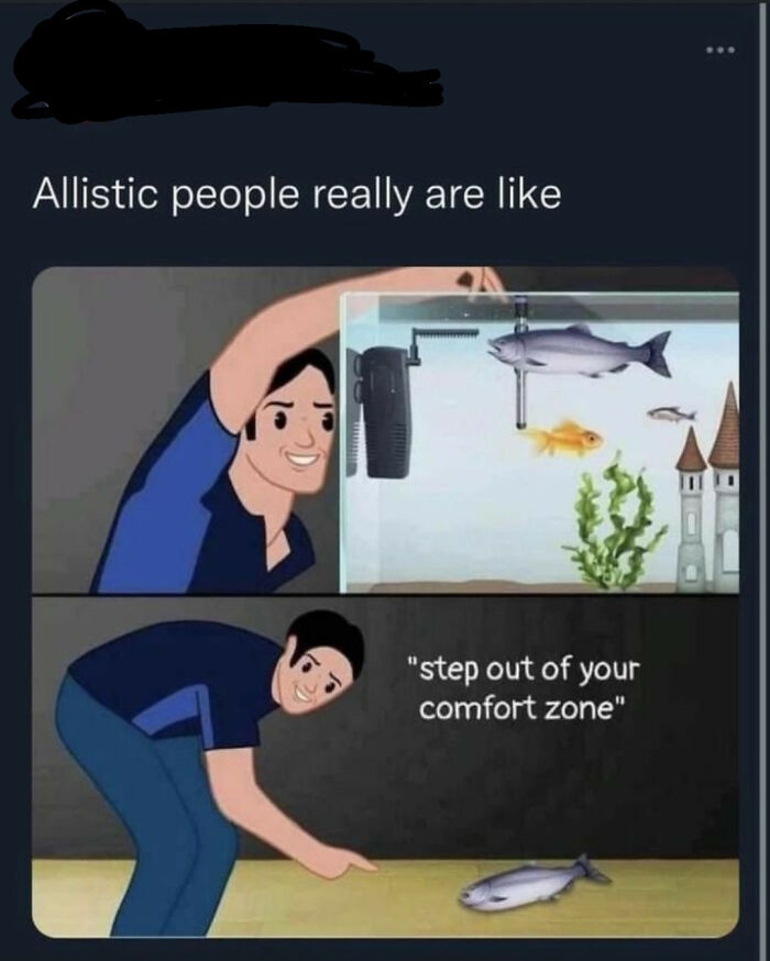 Why Is A Comfort Zone So Confusing Anyway?