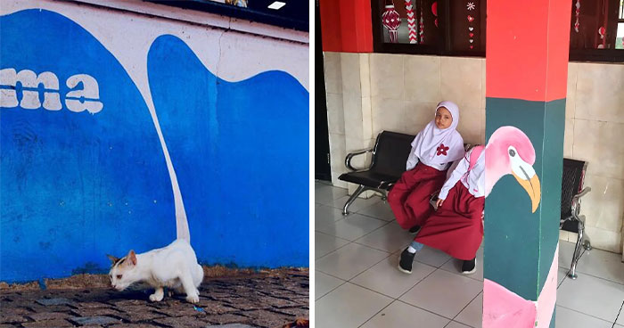 Wait, Did These Street Photos Just Nail Life’s Funniest & Most Surprising Moments?