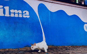 Wait, Did These Street Photos Just Nail Life’s Funniest & Most Surprising Moments?