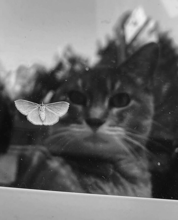 Wait, Did These Street Photos Just Nail Life’s Funniest & Most Surprising Moments?